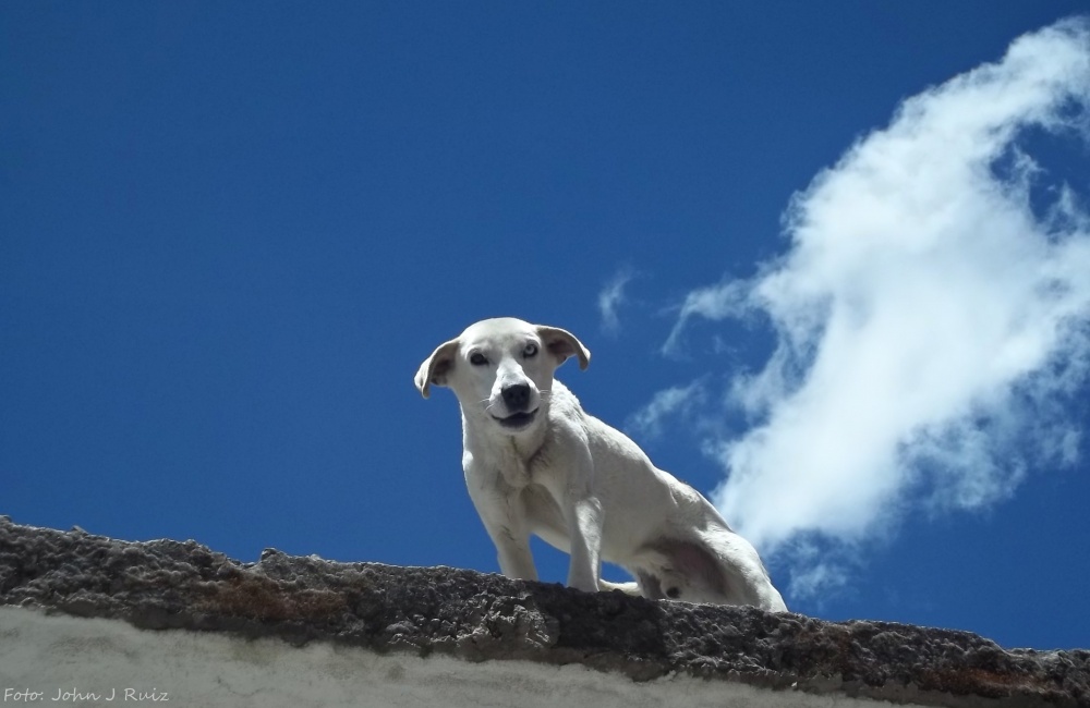 "Cielo en Usme" de John J Ruiz