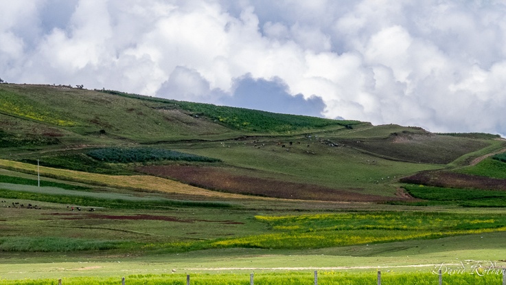 "Rincones del Per #0506 Apurmac" de David Roldn