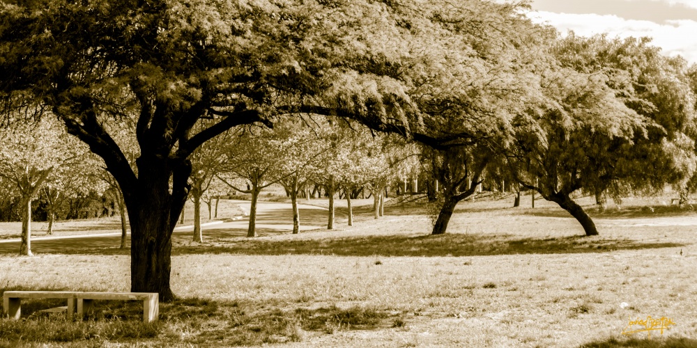 "Parque de la Vida II" de Javier Crembil