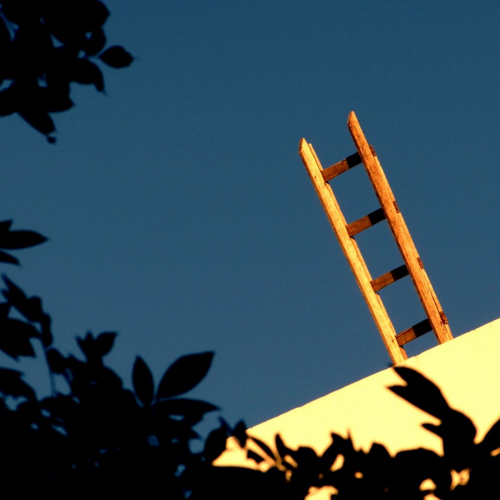 "Escalera al cielo" de Norma Navarro