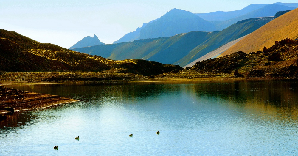 "Maces en la cordillera" de Gerardo Saint Martn