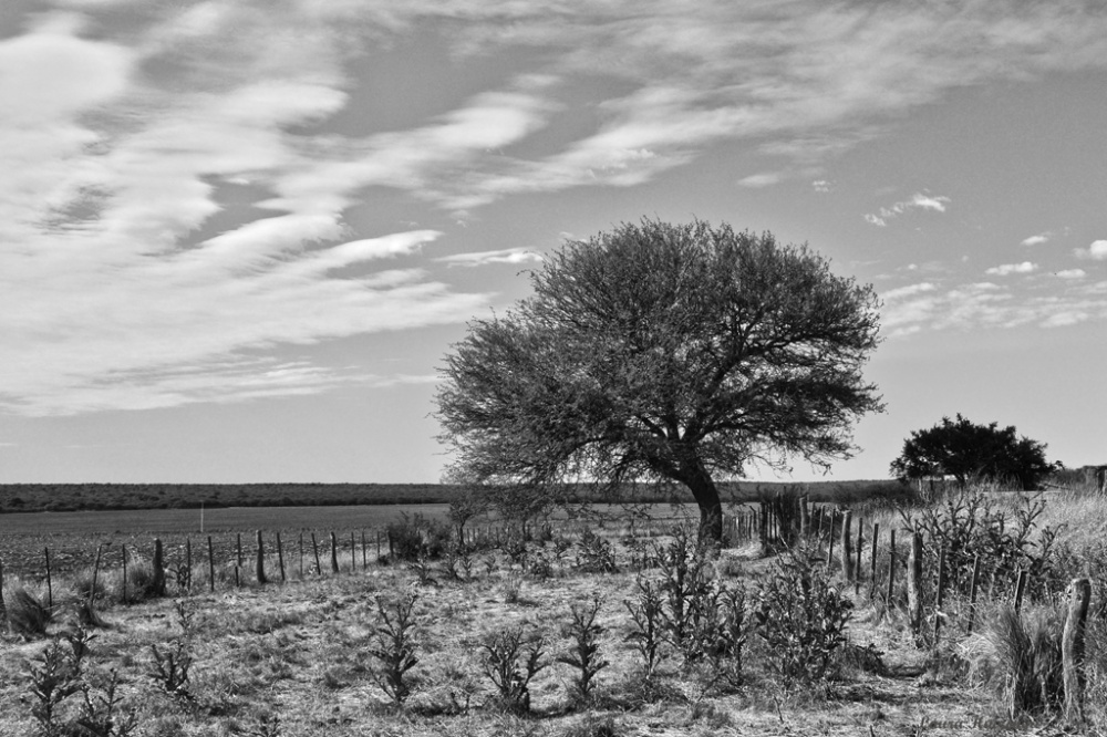 "Encerrado" de Laura Noem Huizenga