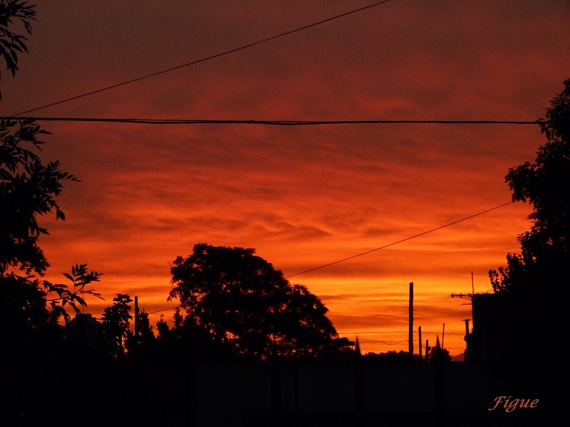 "Rojo atardecer" de Alberto Figueroa