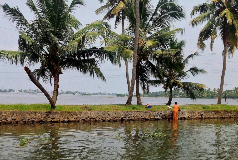 "En las Backwaters" de Mara Cristina Toubes