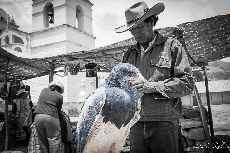 "El amigo de las guilas" de David Roldn