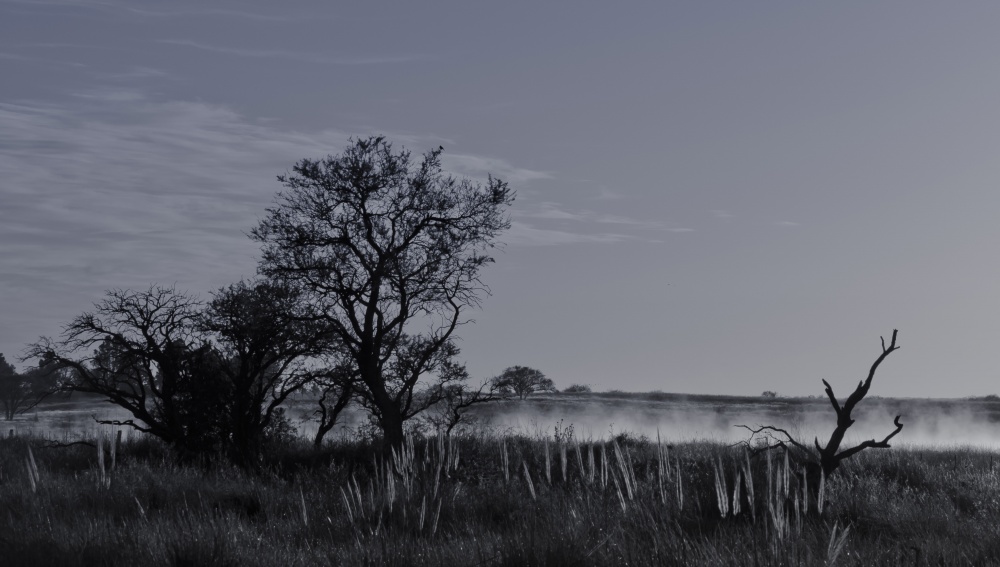 "Amanece en la ruta I" de Daniel Gustavo Bravo