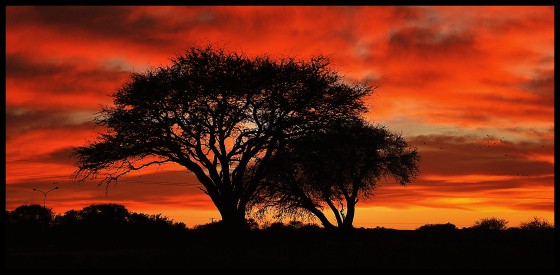 "`Amanecer detrs del calden`" de Maria Teresa Mondino