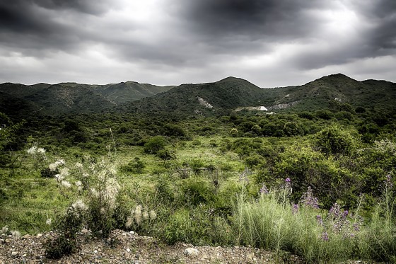 "La Sierra Herida" de Ernesto Emilio Suarez