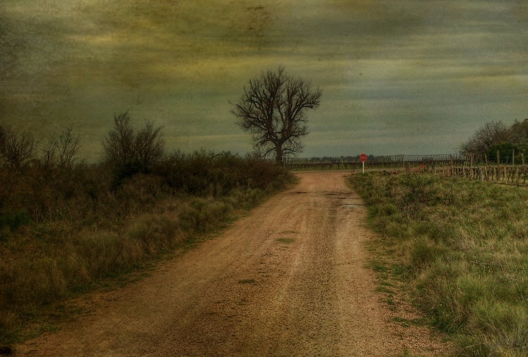 "Fin del camino." de Pablo Pose