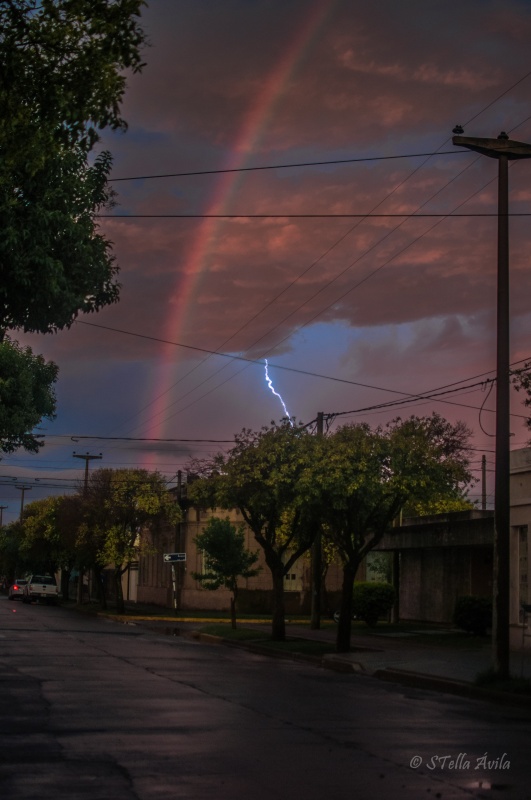 "Tormenta de verano" de Stella Avila