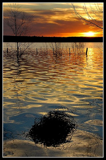 "` Laguna de Marcio`" de Maria Teresa Mondino