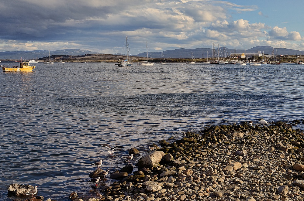 "Baha de Ushuaia" de Jorge Alberto Montero