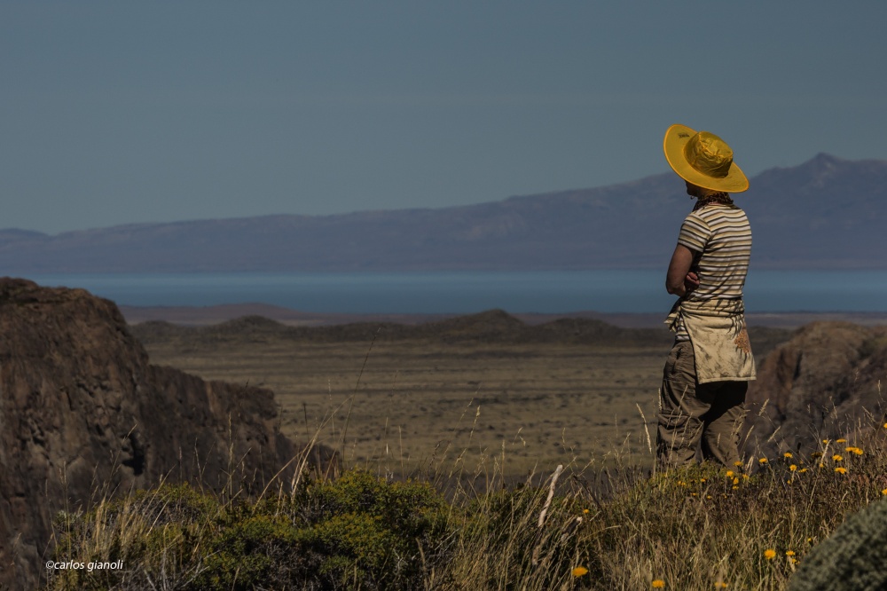 "Paisaje con sombrero" de Carlos Gianoli