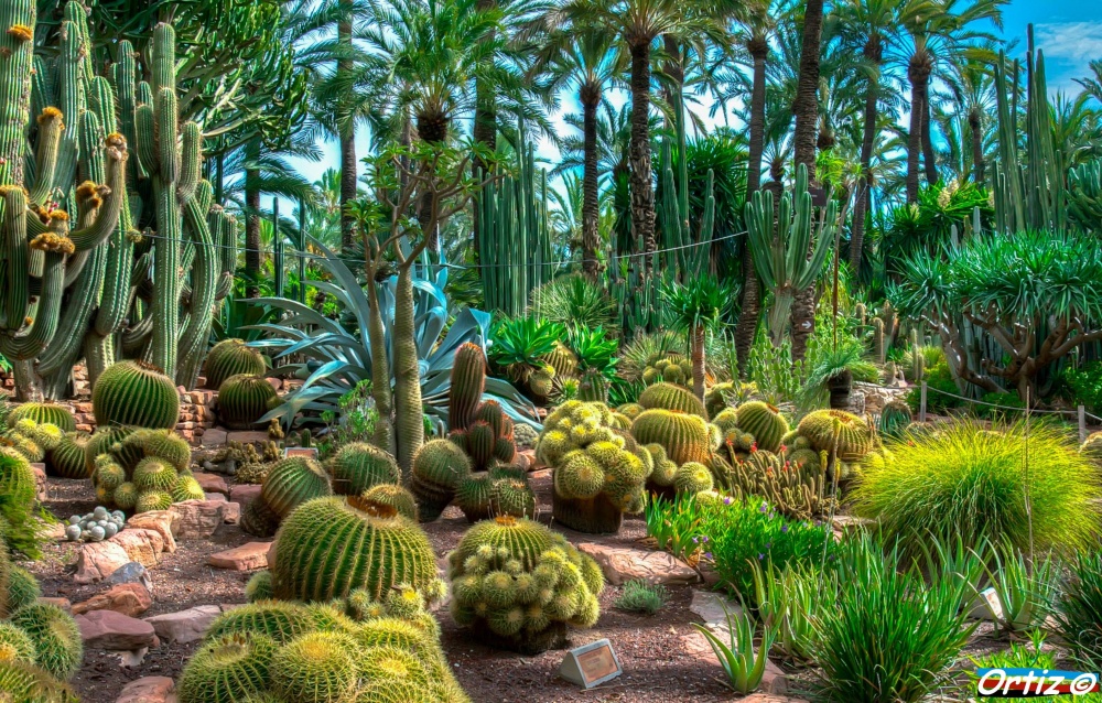 "Jardines huerto del cura" de Zeus Ortiz