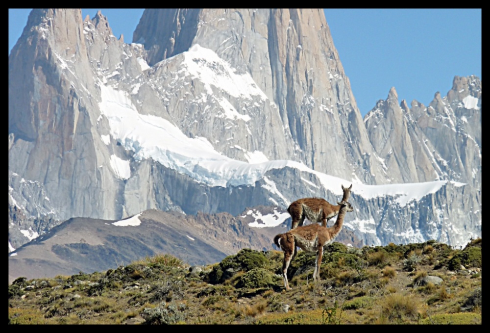 "Sin Ttulo" de Moises Gronte