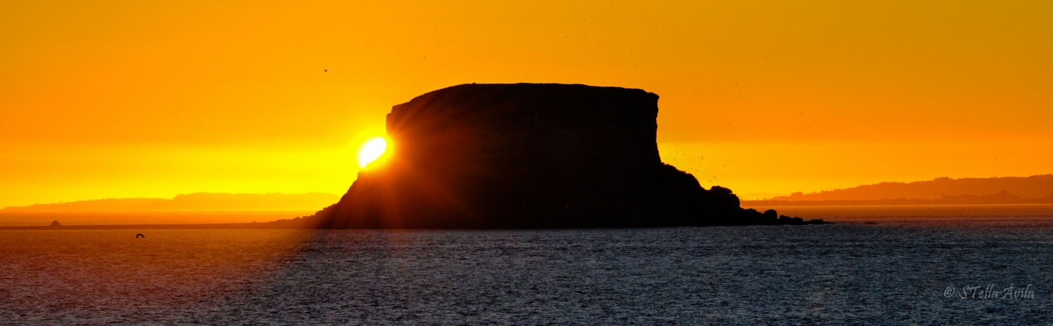 "La calidez de un fro atardecer" de Stella Avila