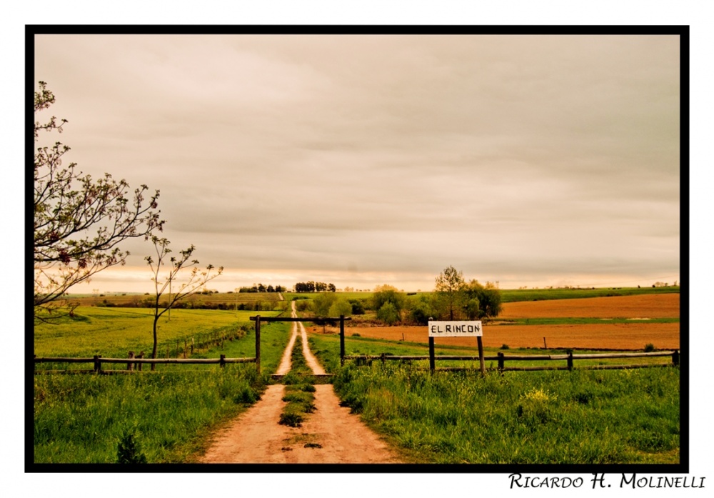 "Sendero a casa" de Ricardo H. Molinelli