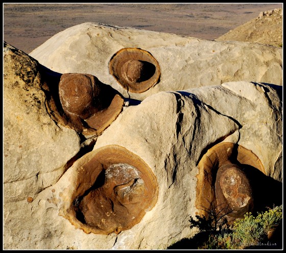 "`Sombreros geolgicos`" de Maria Teresa Mondino