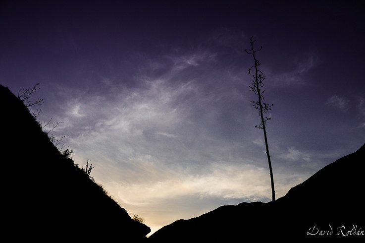 "Rincones del Per 300 Can del Colca" de David Roldn