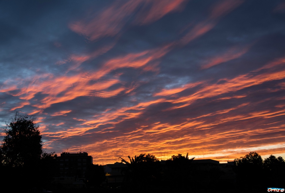 "Amanece" de Zeus Ortiz