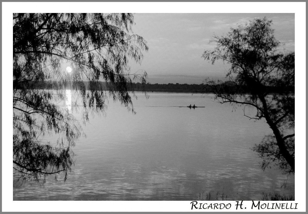 "Remando aguas arriba" de Ricardo H. Molinelli