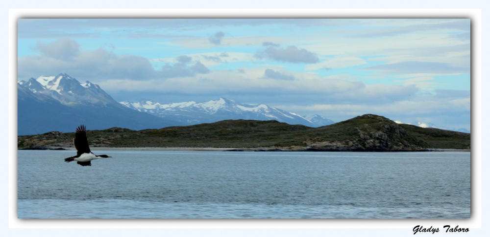 "Navegando por el canal de Beagle" de Gladys Taboro