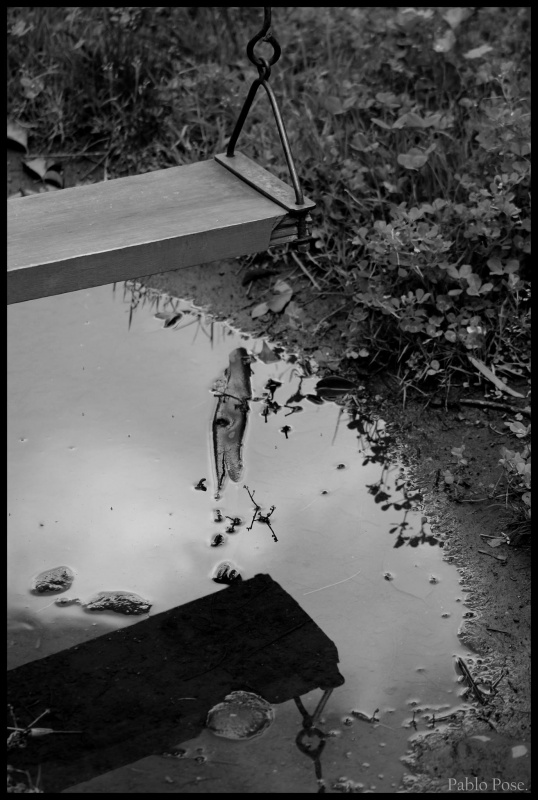 "Reflejos de ausencias." de Pablo Pose