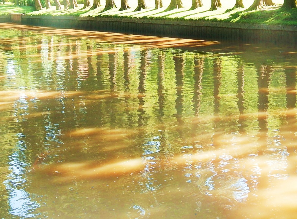 "Escenas del Tigre 8: Reflejos" de Jos Luis Mansur