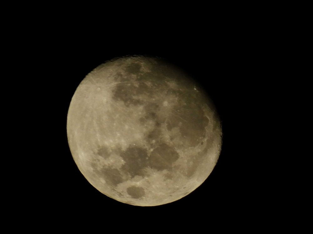 "Casi llena! ... luna de marzo." de Juan Fco. Fernndez