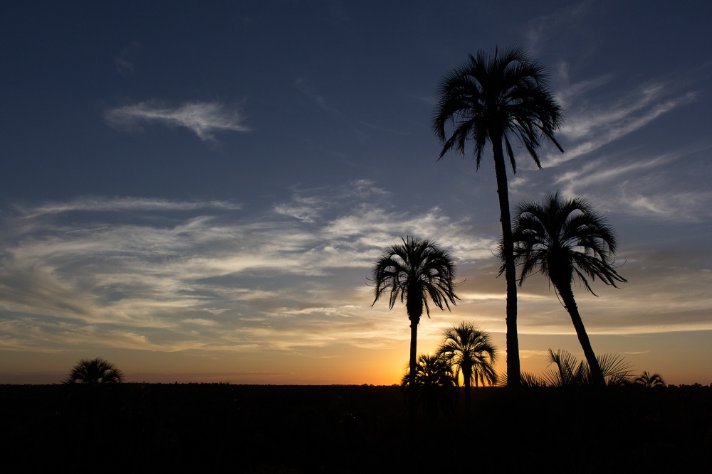 "Atardecer en El Palmar" de Claudio Jord