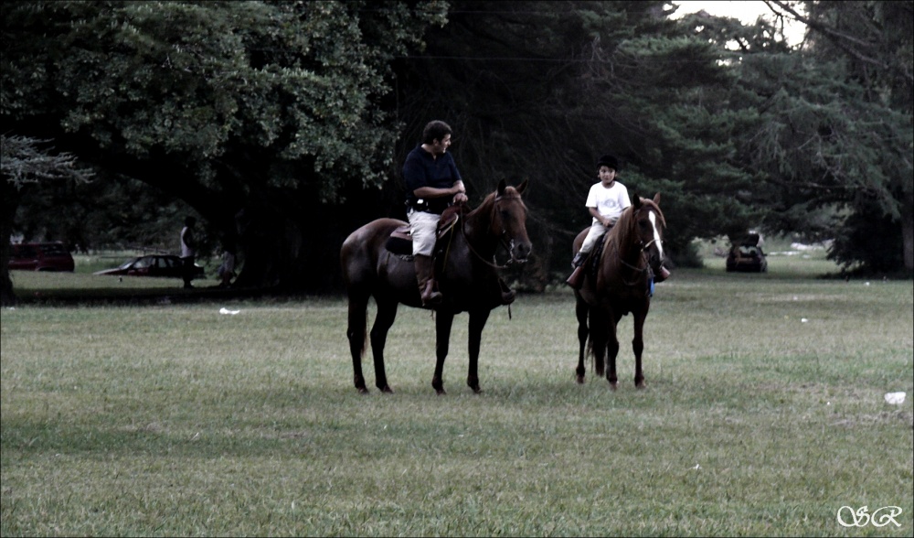 "Ese momento especial con pap" de Silvia Rodrigo