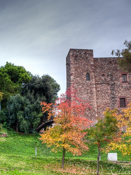 "Racons de Catalunya 0875 Terrassa" de David Roldn