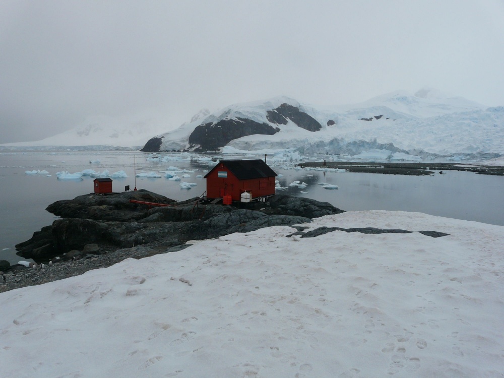 "Soledad Antartica" de Jose Torino