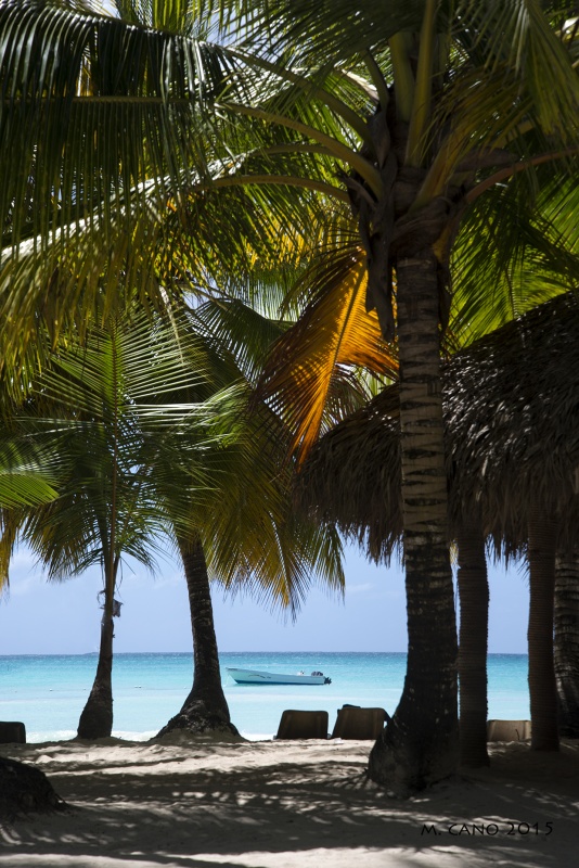 "Isla de Saona.." de Marcelo Nestor Cano