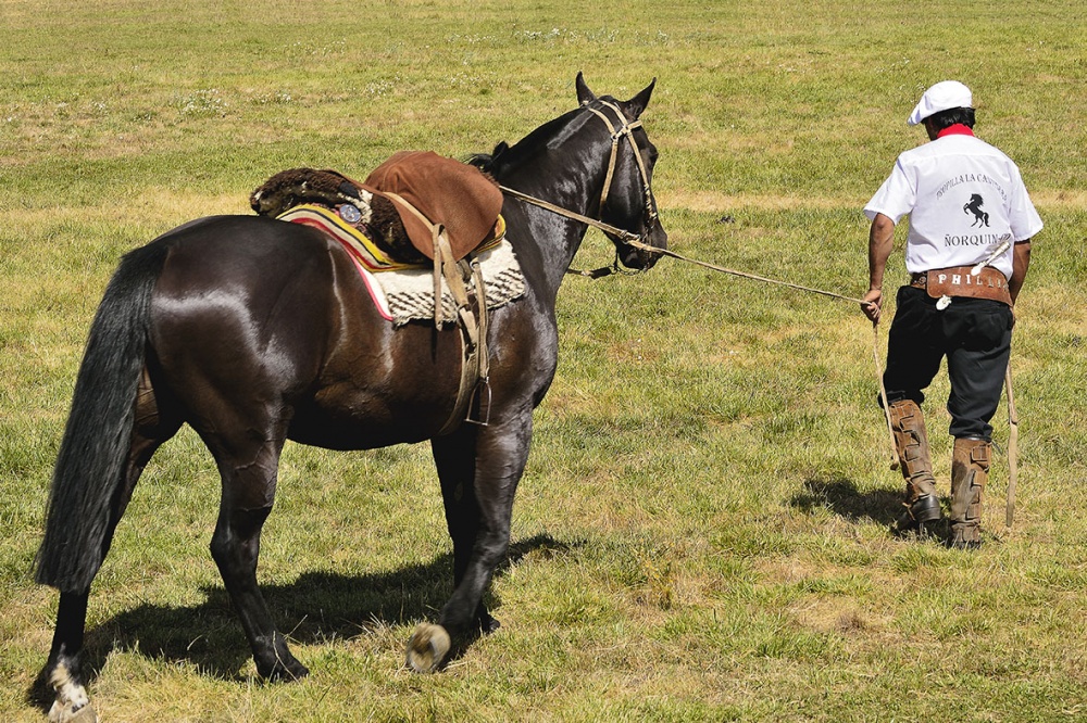 "Pal corral" de Carlos Francisco Montalbetti