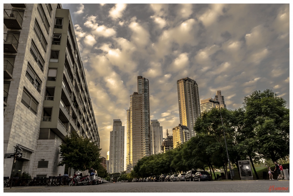 "Madero" de Luis Fernando Somma (fernando)