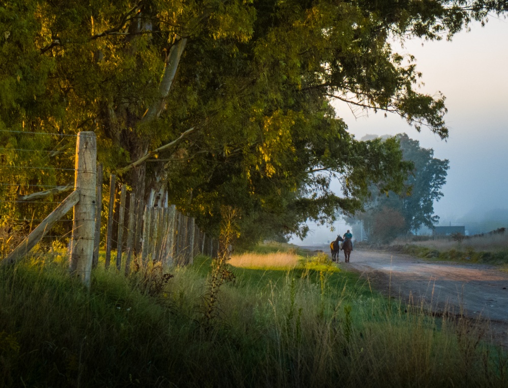 "Vareo matinal" de Fernando Valdez Vazquez