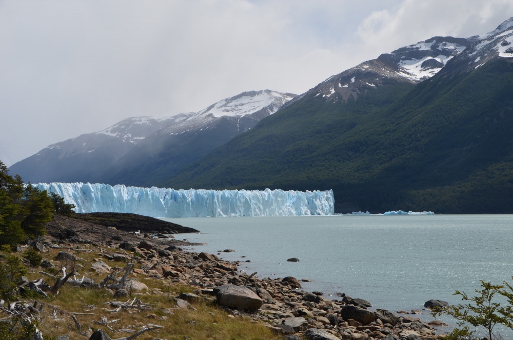 "El Perito Moreno Brazo Norte" de Jose Torino