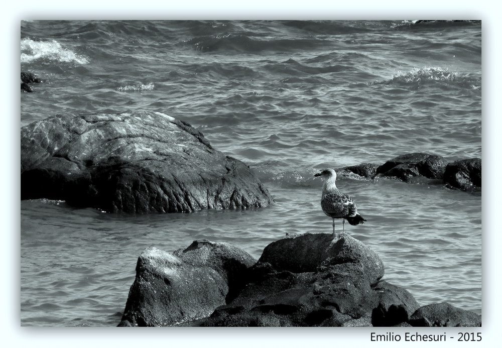 "En las rocas" de Emilio Echesuri