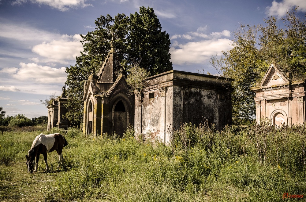 "Cementerio Sud" de Luis Fernando Somma (fernando)