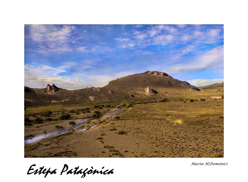 "Estepa Patagnica" de Marta Dominici