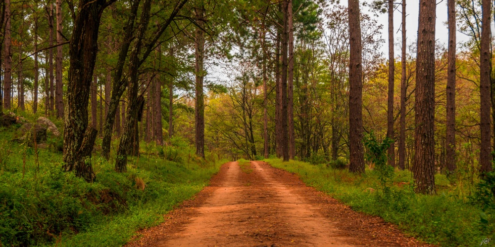 "caminos serranos" de Javier Crembil