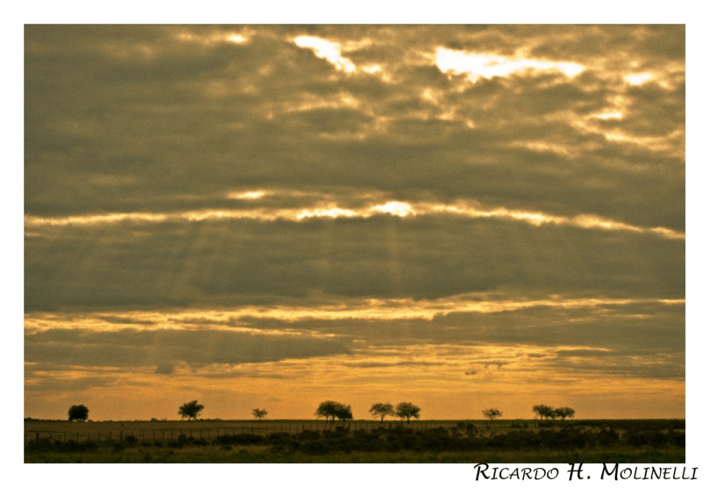 "Cielo toldado" de Ricardo H. Molinelli