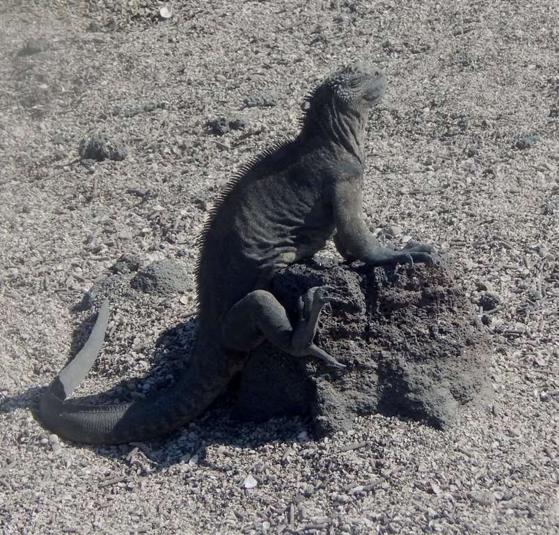 "Tomando sol" de Luis Alberto Salvarezza