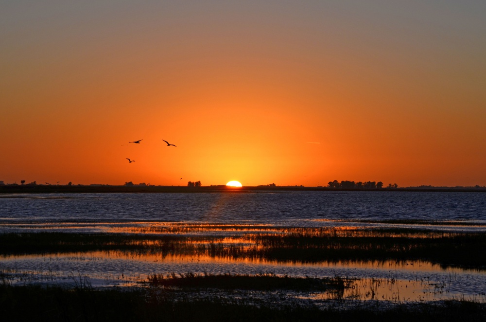 "Amanece sobre la laguna de Melincue 1" de Monica Rollan