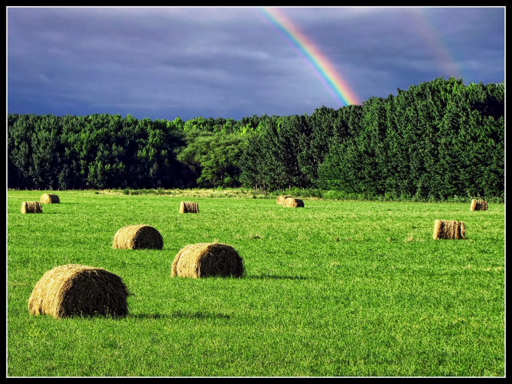 "Campo de Tandil" de Juan Carlos Demasi