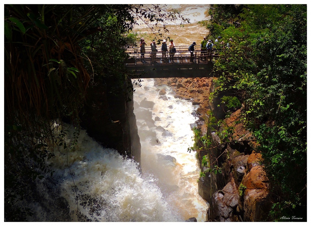 "Pasarela Cataratas del Iguaz" de Alicia Ferrara