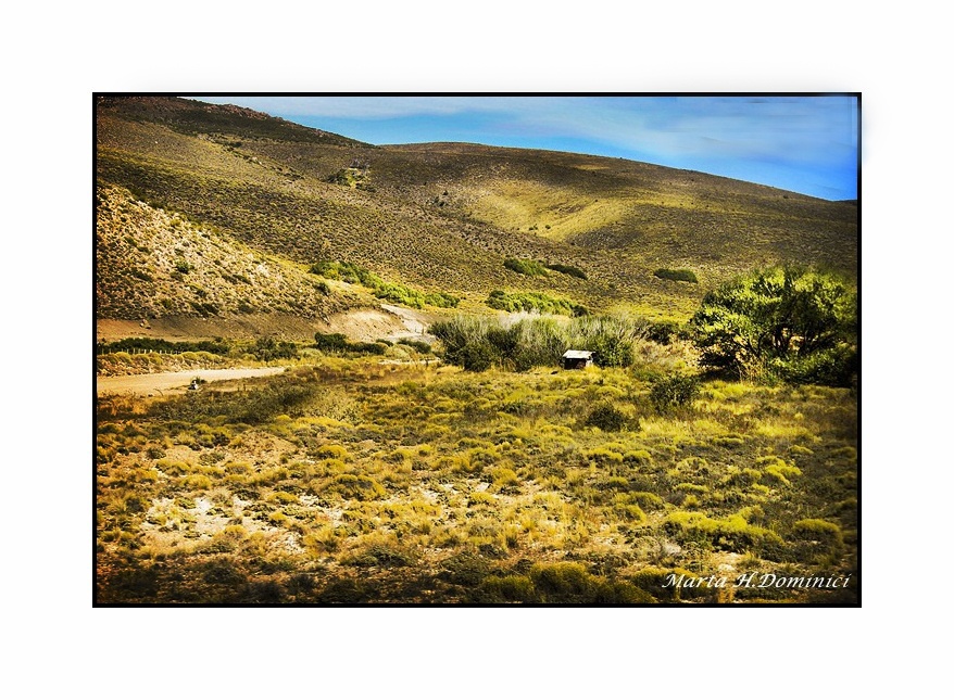 "Slo Soledad" de Marta Dominici