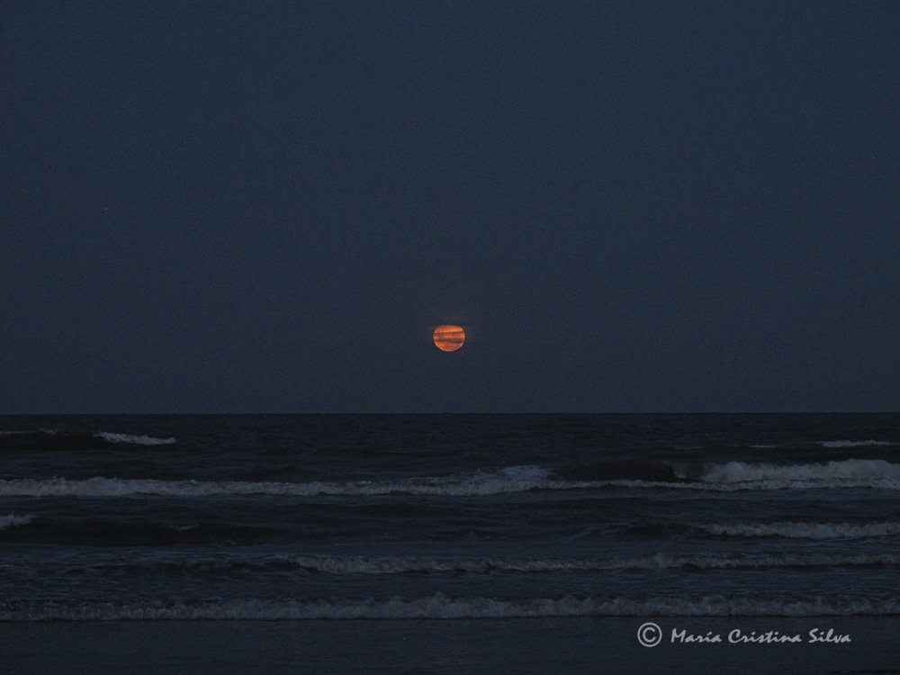 "La luna asoma enrojecida" de Maria Cristina Silva