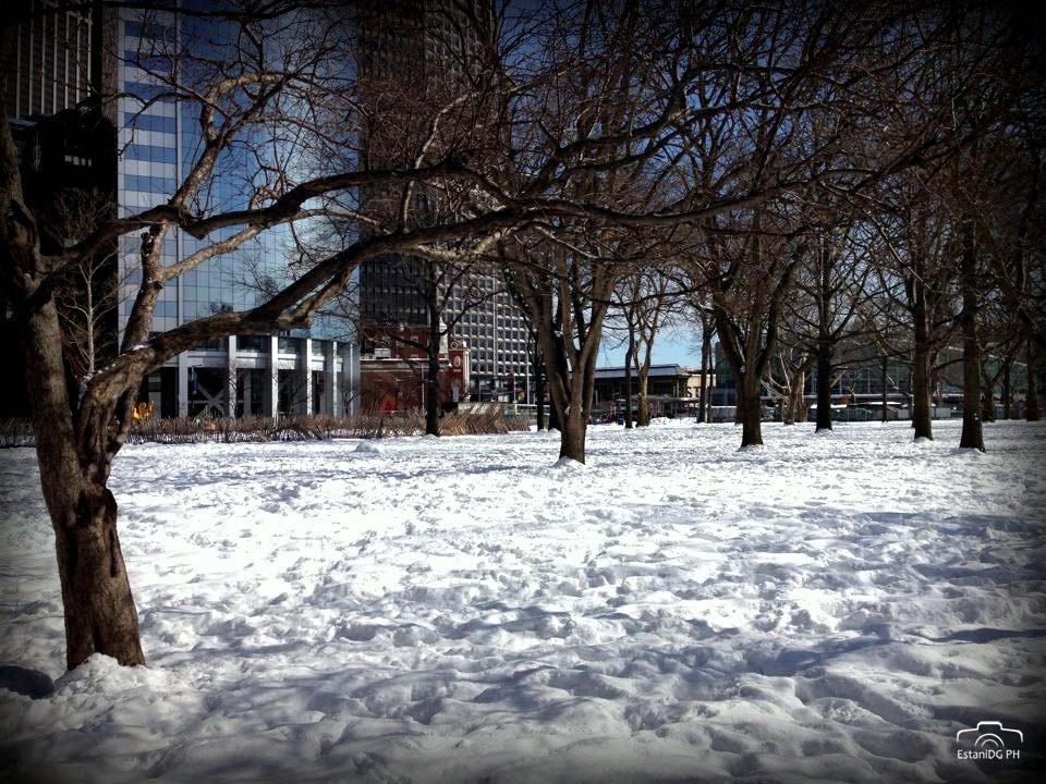 "Battery Park" de Estanislao de Olmos